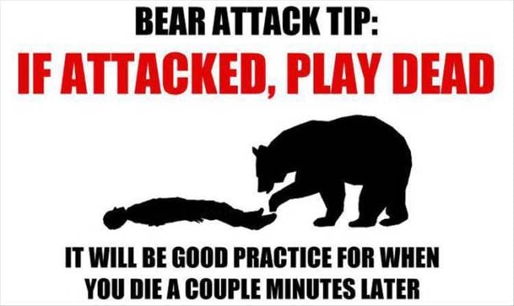 If attacked by a bear, playing dead can be a helpful tactic to ward off enemies. It is recommended to practice this technique for a few minutes later.