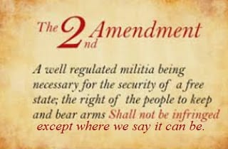 2nd Amendment (Not)