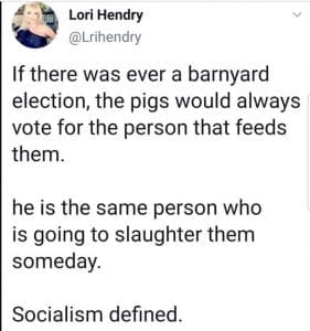pigs and elections