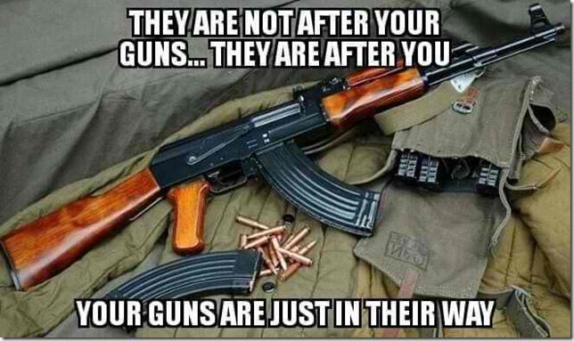 They're not after your guns, they are after you!