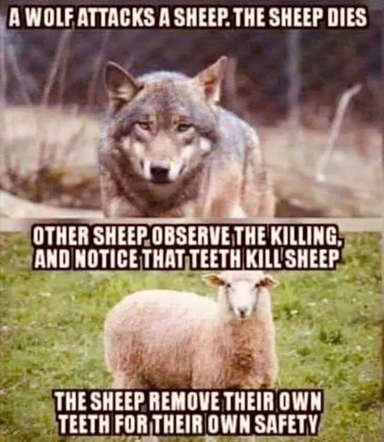 sheep and wolf teeth analogy