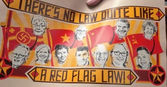 Red flag law