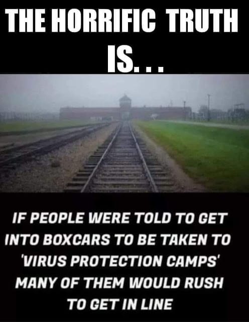 In the city of Pensacola, a horrifying truth emerges as people are being forcefully placed into boxes and taken to virus protection camps.