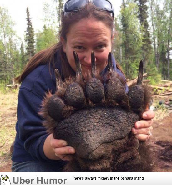 Giant bear claw