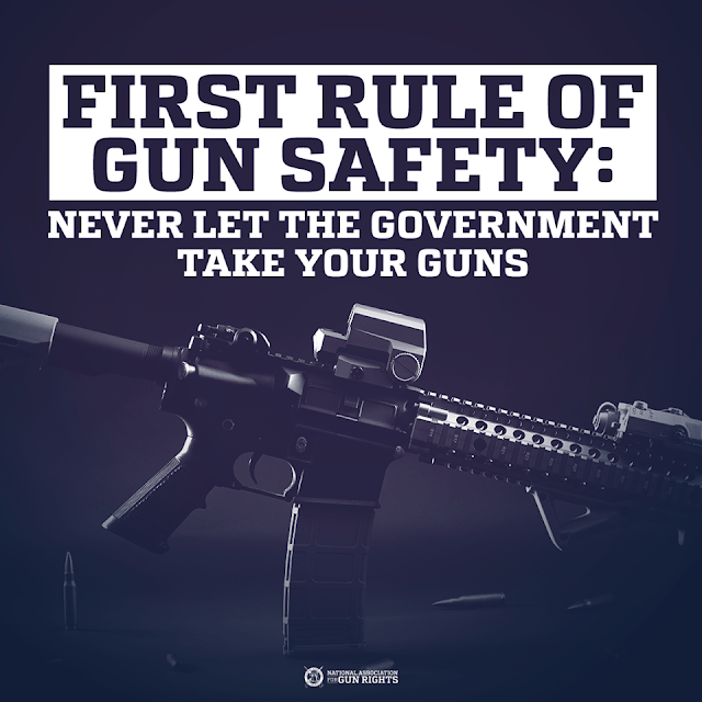 First Rule of Gun Safety: Never let the government take your guns