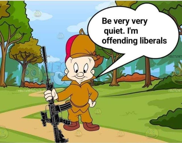 A boy holding a gun and saying be very quiet i'm offending liberals with litigious consequences.