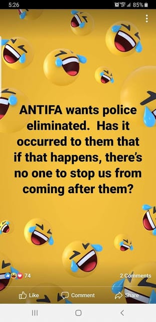 ANTIFA wants police eliminated.