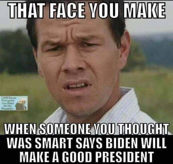 That face you make when someone you thought was smart says Biden will make a good President