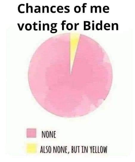 Chances of me voting for Biden