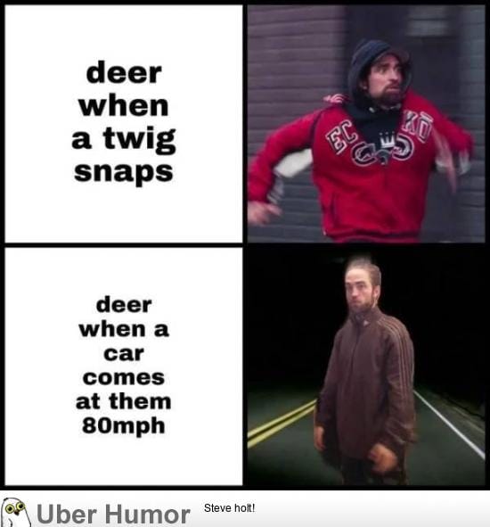 Deer meme