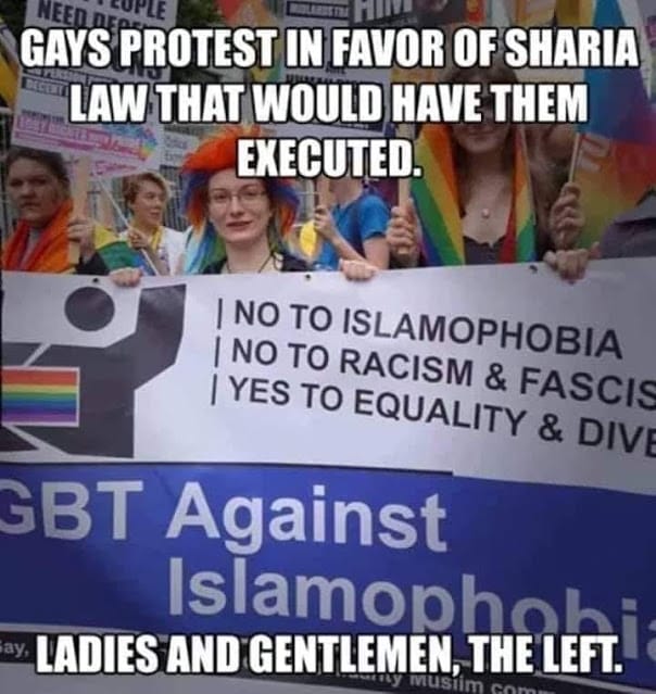 Gays protest in favor of Sharia Law that would have them executed