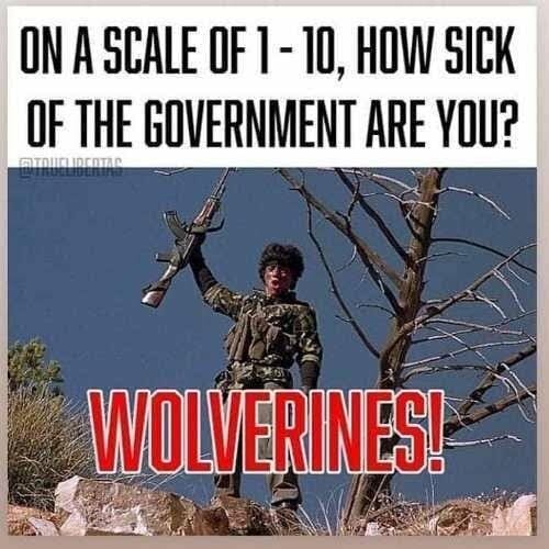 Wolverines!