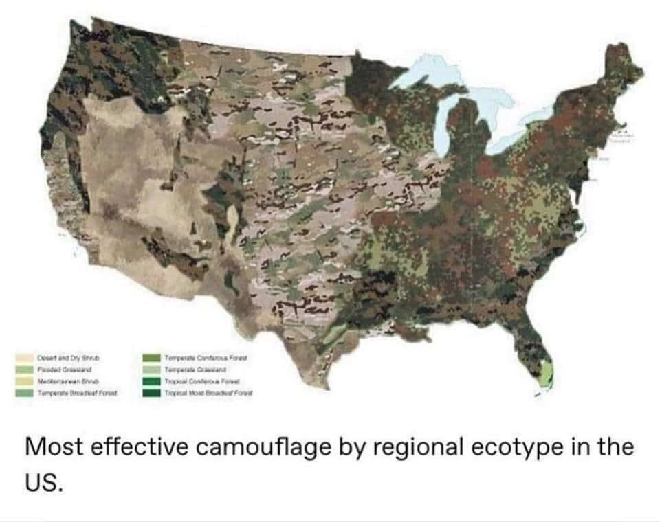 Most effective camouflage by region