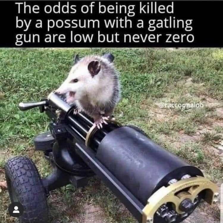 possum on gatling gun