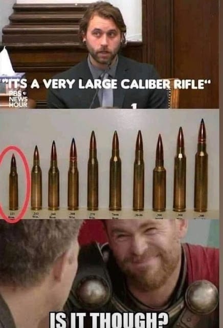 "It's a very large caliber rifle"