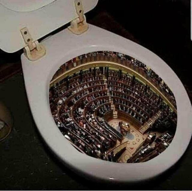 Legislature in a toilet