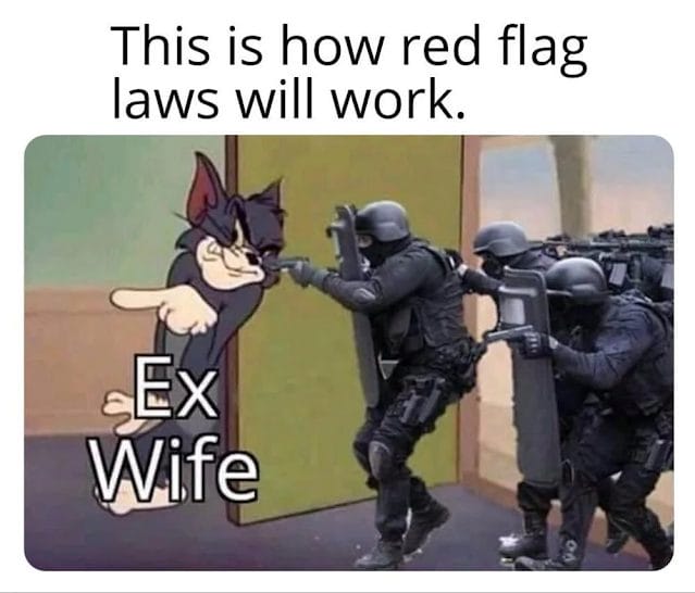 How red flag laws work