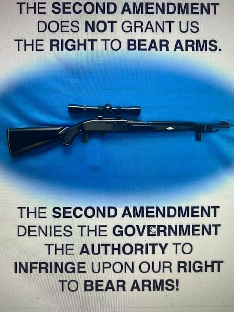 Second Amendment fact