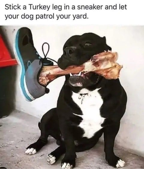 Dog patrol funny idea