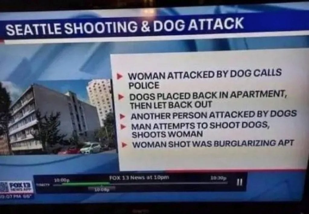 Seattle shooting & dog attack
