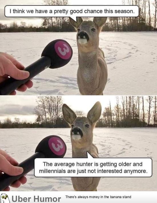 Deer "interview"