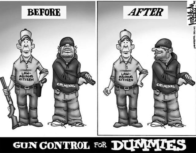 Gun control for Dummies