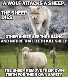 Sheep meme