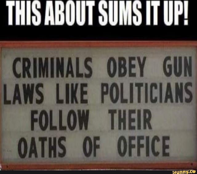 Criminals obey gun laws like politicians follow their oaths of office
