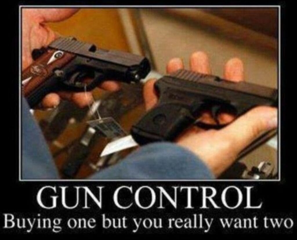 Gun control - buying only one gun when you want two