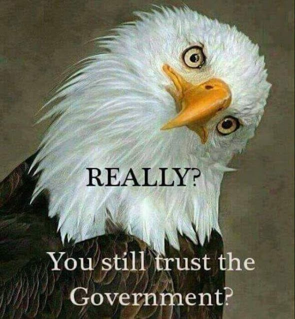 Really? You still trust the government?