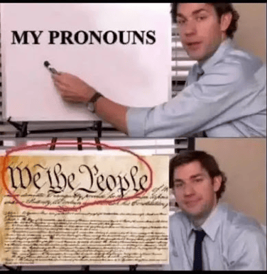 My pronouns are "we the people"