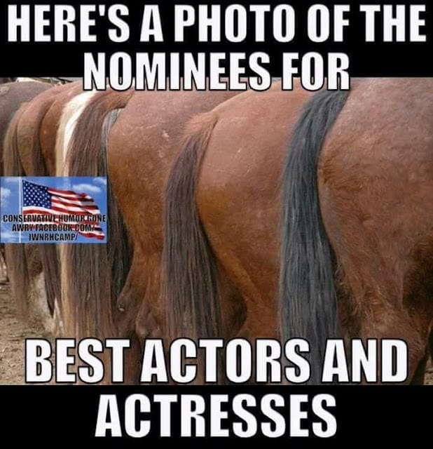 A humorous image likening a lineup of horse rears to nominees for best actors and actresses.