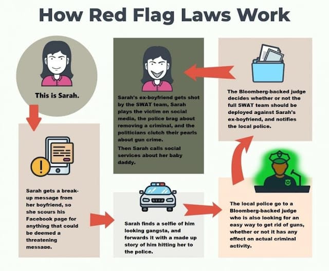 An infographic explaining the process of red flag laws with illustrated steps showing a reported concern about a person potentially causing harm and the subsequent legal and law enforcement actions taken.