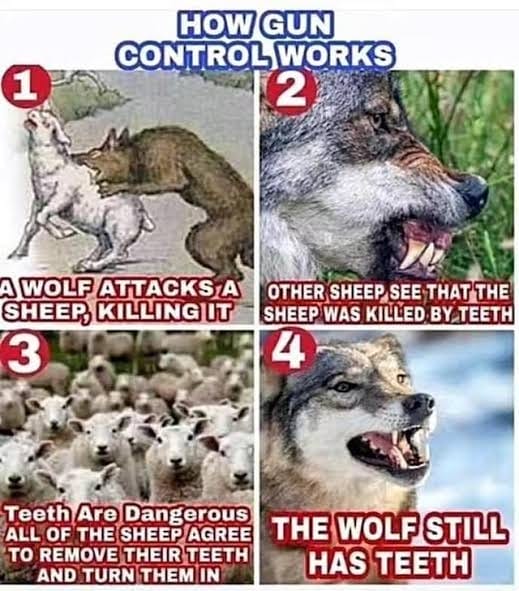 Four-panel image comparing gun control to wolves and sheep: panels show a wolf attacking a sheep, a wolf's teeth, sheep agreeing to tooth removal, and a toothed wolf, highlighting futility in disarmament.