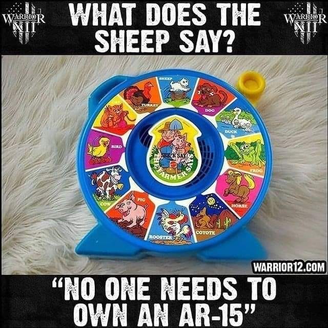 Children's toy with a modified message about gun ownership placed on a furry surface.