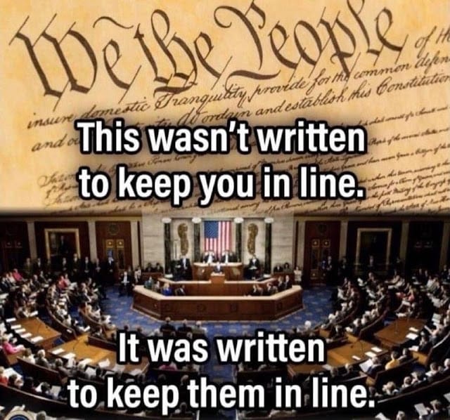 Text overlay on an image of the united states congress with the preamble of the u.s. constitution, suggesting the constitution was meant to keep the government in check, not the citizens.