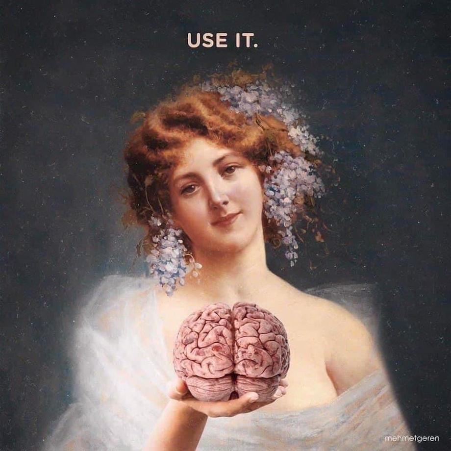 Classical portrait of a woman holding a brain with the caption "use it" overlaid, blending art with a motivational message.