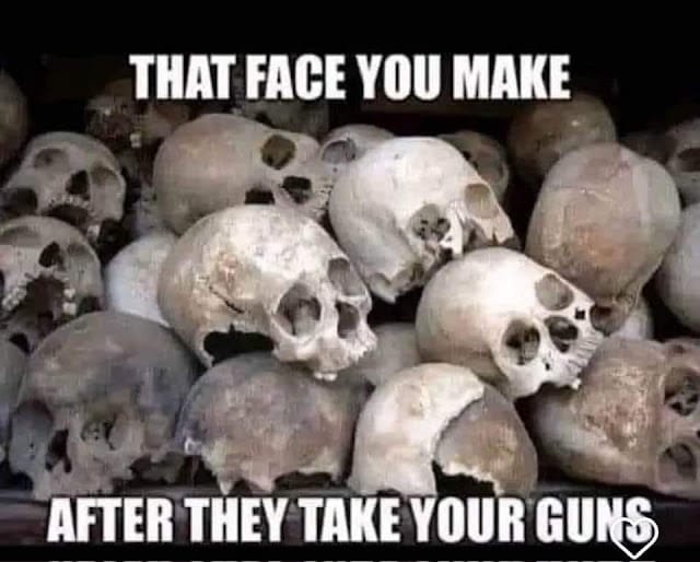 A pile of human skulls is overlaid with text that reads, "THAT FACE YOU MAKE AFTER THEY TAKE YOUR GUNS.