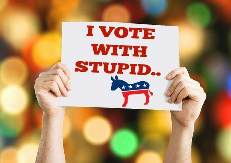 Hands holding a sign that reads "I VOTE WITH STUPID.." with a donkey logo, against a colorful blurred background.